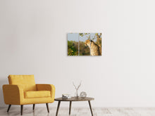 Laden Sie das Bild in den Galerie-Viewer, Leinwandbild 3-teilig Gepard in der Natur