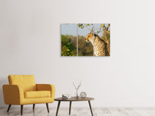 Laden Sie das Bild in den Galerie-Viewer, Leinwandbild 3-teilig Gepard in der Natur
