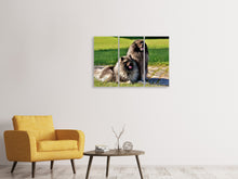 Laden Sie das Bild in den Galerie-Viewer, Leinwandbild 3-teilig 2 Wolfsspitz