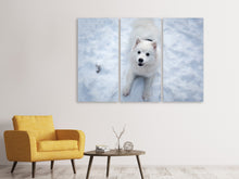Laden Sie das Bild in den Galerie-Viewer, Leinwandbild 3-teilig Hunde Freude im Schnee