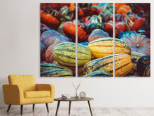 Laden Sie das Bild in den Galerie-Viewer, Leinwandbild 3-teilig Kürbis Arten