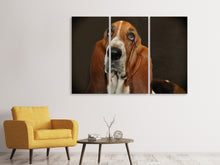 Laden Sie das Bild in den Galerie-Viewer, Leinwandbild 3-teilig Typisch Basset