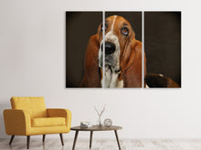 Laden Sie das Bild in den Galerie-Viewer, Leinwandbild 3-teilig Typisch Basset