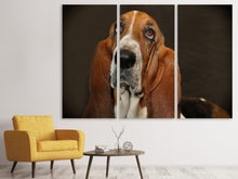 Laden Sie das Bild in den Galerie-Viewer, Leinwandbild 3-teilig Typisch Basset