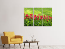Laden Sie das Bild in den Galerie-Viewer, Leinwandbild 3-teilig Rotes Tulpenfeld im Sonnenlicht