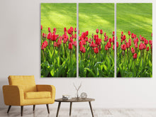 Laden Sie das Bild in den Galerie-Viewer, Leinwandbild 3-teilig Rotes Tulpenfeld im Sonnenlicht