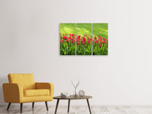 Laden Sie das Bild in den Galerie-Viewer, Leinwandbild 3-teilig Rotes Tulpenfeld im Sonnenlicht
