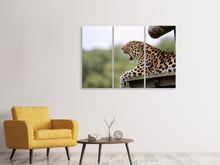 Laden Sie das Bild in den Galerie-Viewer, Leinwandbild 3-teilig Müder Leopard
