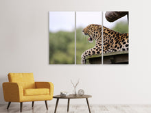Laden Sie das Bild in den Galerie-Viewer, Leinwandbild 3-teilig Müder Leopard