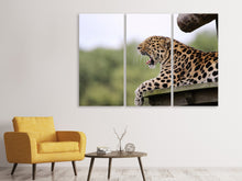 Laden Sie das Bild in den Galerie-Viewer, Leinwandbild 3-teilig Müder Leopard