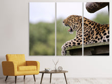 Laden Sie das Bild in den Galerie-Viewer, Leinwandbild 3-teilig Müder Leopard