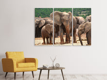 Laden Sie das Bild in den Galerie-Viewer, Leinwandbild 3-teilig Elefantenherde in Afrika