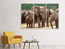 Laden Sie das Bild in den Galerie-Viewer, Leinwandbild 3-teilig Elefantenherde in Afrika