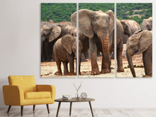 Laden Sie das Bild in den Galerie-Viewer, Leinwandbild 3-teilig Elefantenherde in Afrika