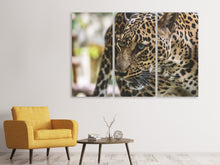 Laden Sie das Bild in den Galerie-Viewer, Leinwandbild 3-teilig Achtung Raubkatze !