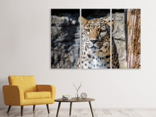 Laden Sie das Bild in den Galerie-Viewer, Leinwandbild 3-teilig Leopard auf der Lauer