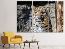 Laden Sie das Bild in den Galerie-Viewer, Leinwandbild 3-teilig Leopard auf der Lauer