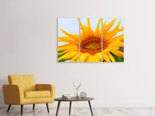 Laden Sie das Bild in den Galerie-Viewer, Leinwandbild 3-teilig Grosse Sonnenblume