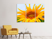 Laden Sie das Bild in den Galerie-Viewer, Leinwandbild 3-teilig Grosse Sonnenblume