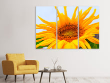 Laden Sie das Bild in den Galerie-Viewer, Leinwandbild 3-teilig Grosse Sonnenblume