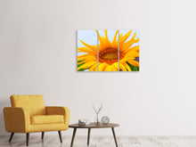 Laden Sie das Bild in den Galerie-Viewer, Leinwandbild 3-teilig Grosse Sonnenblume