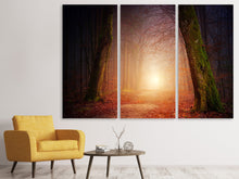 Laden Sie das Bild in den Galerie-Viewer, Leinwandbild 3-teilig Herbst im Wald