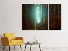 Laden Sie das Bild in den Galerie-Viewer, Leinwandbild 3-teilig Stimmung im Wald