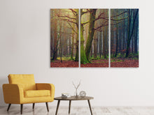 Laden Sie das Bild in den Galerie-Viewer, Leinwandbild 3-teilig Alleine im Wald