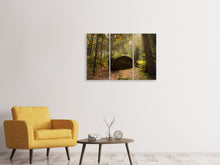 Laden Sie das Bild in den Galerie-Viewer, Leinwandbild 3-teilig Der Fels im Wald