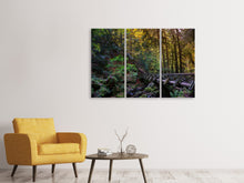 Laden Sie das Bild in den Galerie-Viewer, Leinwandbild 3-teilig Die Wald Brücke