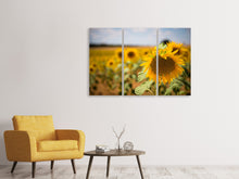 Laden Sie das Bild in den Galerie-Viewer, Leinwandbild 3-teilig Eine Sonnenblume im Feld