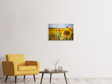 Laden Sie das Bild in den Galerie-Viewer, Leinwandbild 3-teilig Eine Sonnenblume im Feld