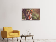 Laden Sie das Bild in den Galerie-Viewer, Leinwandbild 3-teilig XL Pinsel