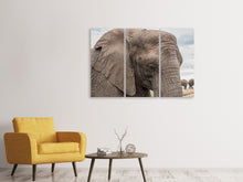 Laden Sie das Bild in den Galerie-Viewer, Leinwandbild 3-teilig XL Elefant