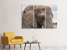 Laden Sie das Bild in den Galerie-Viewer, Leinwandbild 3-teilig XL Elefant