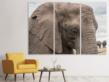 Laden Sie das Bild in den Galerie-Viewer, Leinwandbild 3-teilig XL Elefant