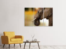 Laden Sie das Bild in den Galerie-Viewer, Leinwandbild 3-teilig  Elefant Close up