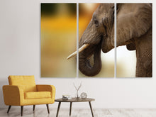 Laden Sie das Bild in den Galerie-Viewer, Leinwandbild 3-teilig  Elefant Close up