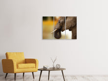 Laden Sie das Bild in den Galerie-Viewer, Leinwandbild 3-teilig  Elefant Close up