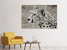 Laden Sie das Bild in den Galerie-Viewer, Leinwandbild 3-teilig Schöner Gepard