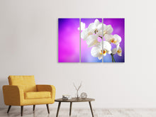 Laden Sie das Bild in den Galerie-Viewer, Leinwandbild 3-teilig Flower Power Orchidee