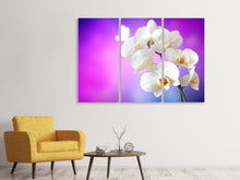 Laden Sie das Bild in den Galerie-Viewer, Leinwandbild 3-teilig Flower Power Orchidee