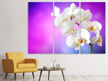 Laden Sie das Bild in den Galerie-Viewer, Leinwandbild 3-teilig Flower Power Orchidee