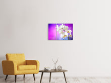 Laden Sie das Bild in den Galerie-Viewer, Leinwandbild 3-teilig Flower Power Orchidee