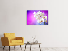Laden Sie das Bild in den Galerie-Viewer, Leinwandbild 3-teilig Flower Power Orchidee