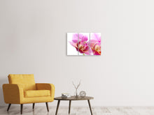 Laden Sie das Bild in den Galerie-Viewer, Leinwandbild 3-teilig Prächtige Phalaenopsis