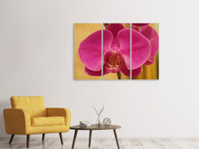 Laden Sie das Bild in den Galerie-Viewer, Leinwandbild 3-teilig Close up Orchidee in pink