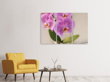 Laden Sie das Bild in den Galerie-Viewer, Leinwandbild 3-teilig Orchideen mit lila Blüten in XL