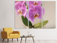 Laden Sie das Bild in den Galerie-Viewer, Leinwandbild 3-teilig Orchideen mit lila Blüten in XL