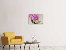 Laden Sie das Bild in den Galerie-Viewer, Leinwandbild 3-teilig Orchideen mit lila Blüten in XL
